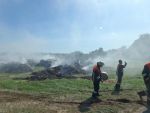 Brand