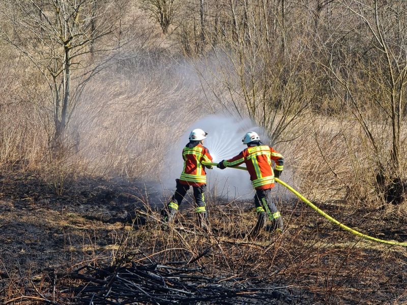 Brand
